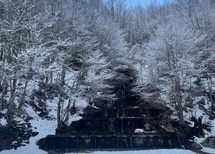 Burimi I Valbones Bed & Breakfast Valbona